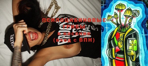 мескалин Новодвинск