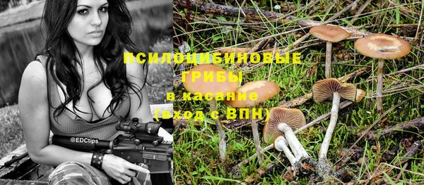 мескалин Новодвинск