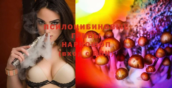 мескалин Новодвинск